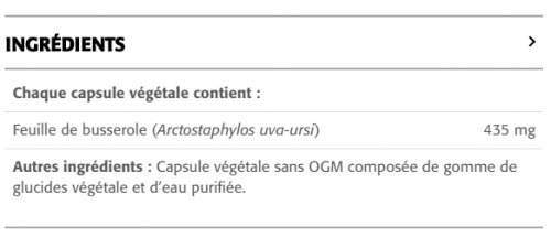 Uva Ursi - New Roots Herbal 