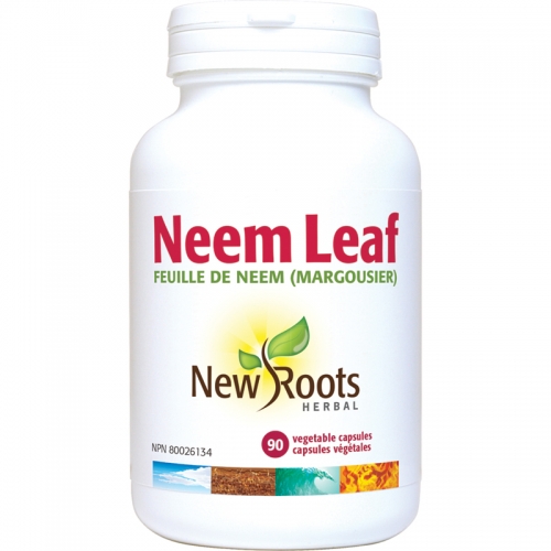 Neem (Feuille de) (Margousier) - New Roots Herbal 