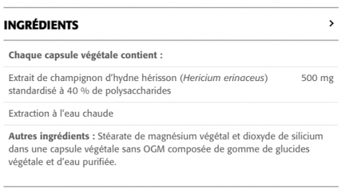 Lion’s Mane (Extrait d’Hydne Hérisson) - New Roots Herbal 