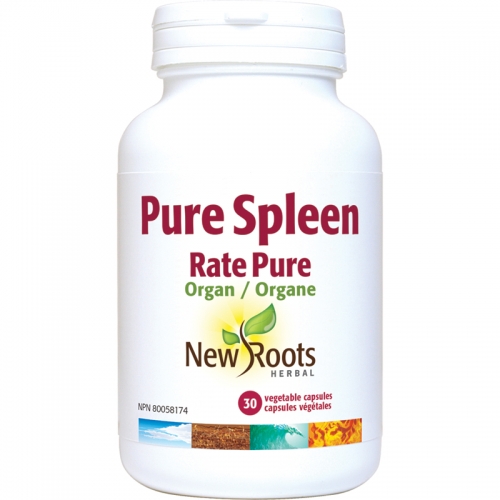 Pure Spleen - New Roots Herbal 