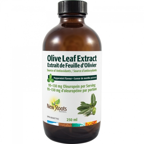 Extrait de Feuille d’Olivier Liquide - New Roots Herbal 