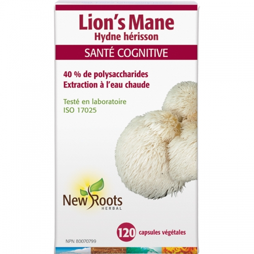 Lion’s Mane (Extrait d’Hydne Hérisson) - New Roots Herbal 