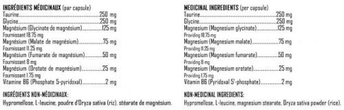 Mag-4 Plus 2.0